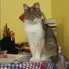 Отзыв от Антонина Жарова
